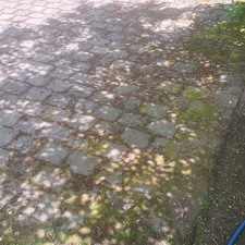 Spring-pressure-washing-for-Kirkland-springs-apartments 41